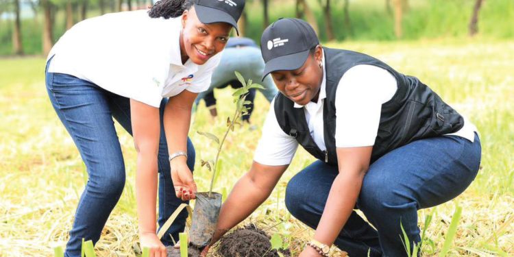 Oil And Gas Sector Marks World Environment Day In Nwoya