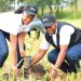 Oil And Gas Sector Marks World Environment Day In Nwoya