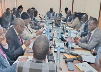MEMD Engages The Parliamentary Committee On Government Assurance And Implementation