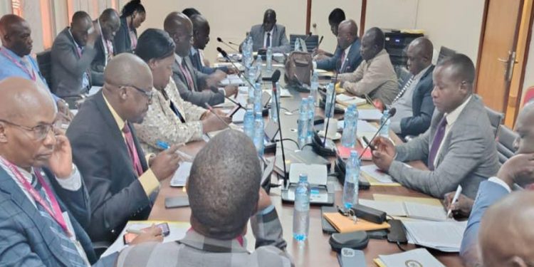 MEMD Engages The Parliamentary Committee On Government Assurance And Implementation