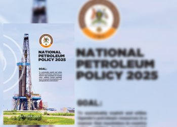 National Petroleum Policy 2025