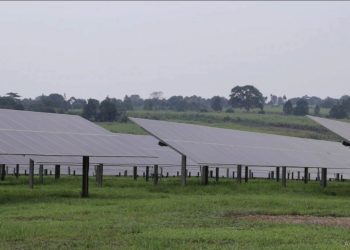 Busitema University Hosts Launch of Solar Technology Application Resource Centre