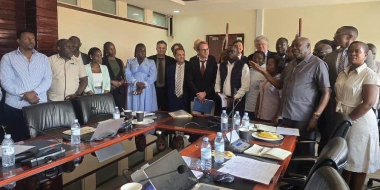 Feasibility studies commence for proposed KIBA hydropower project